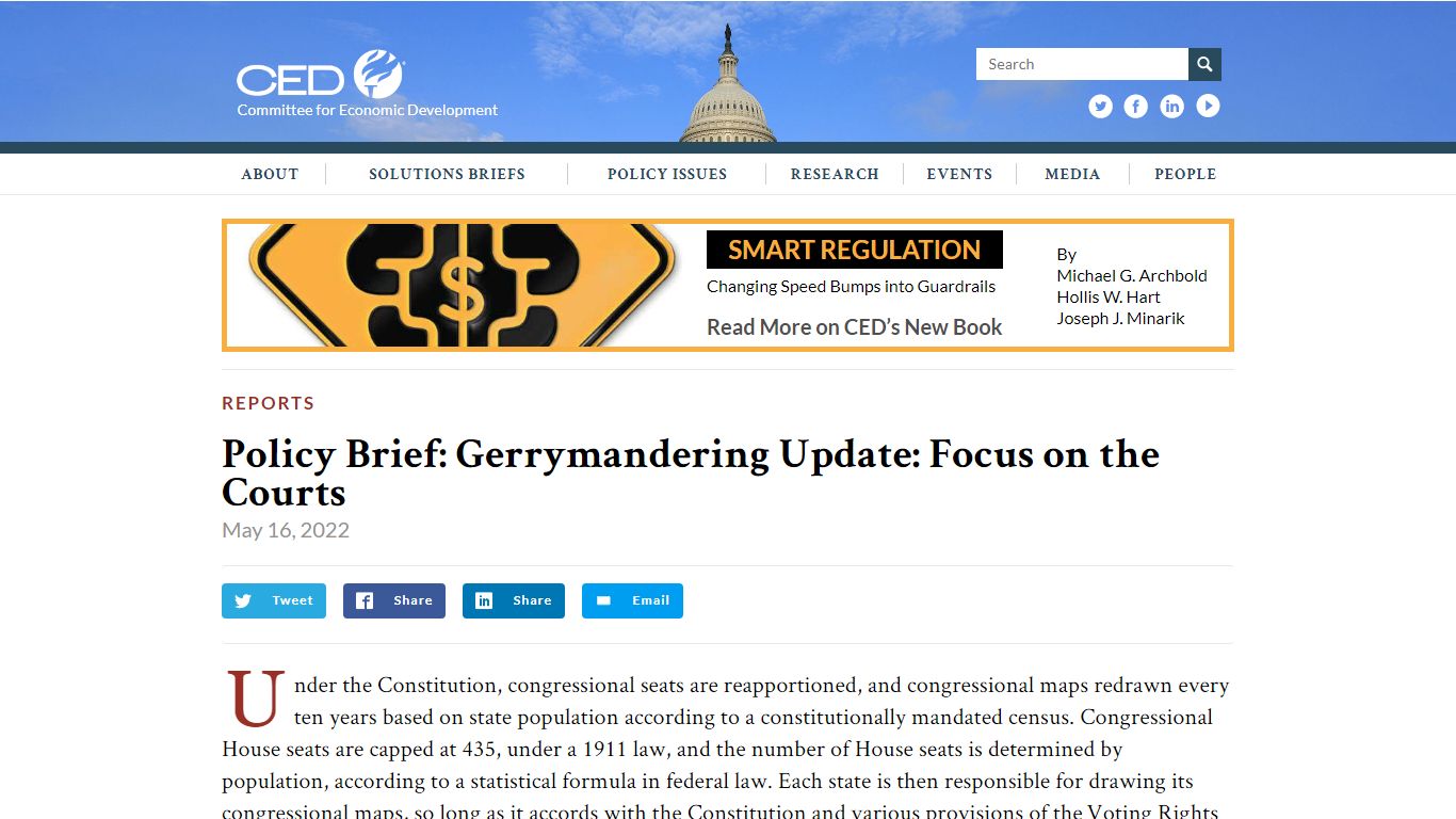 Policy Brief: Gerrymandering Update: Focus on the Courts